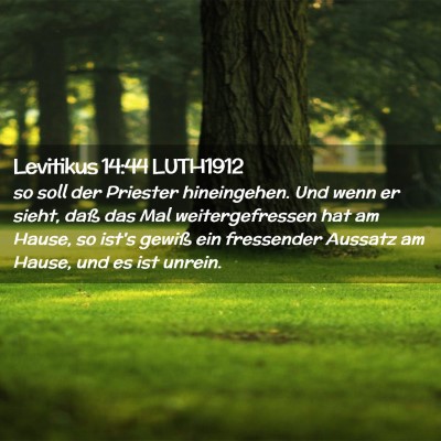 Picture 02 - Levitikus 14:44 LUTH1912 - so soll der Priester hineingehen. Und wenn er - Bible Verse Picture