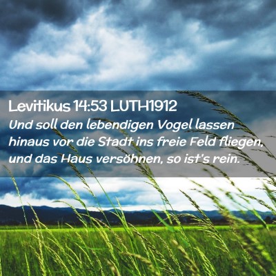 Picture 02 - Levitikus 14:53 LUTH1912 - Und soll den lebendigen Vogel lassen hinaus vor - Bible Verse Picture