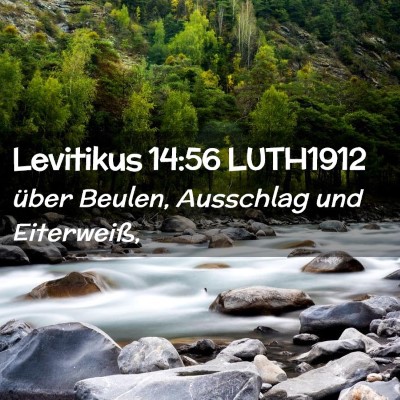Picture 02 - Levitikus 14:56 LUTH1912 - über Beulen, Ausschlag und - Bible Verse Picture