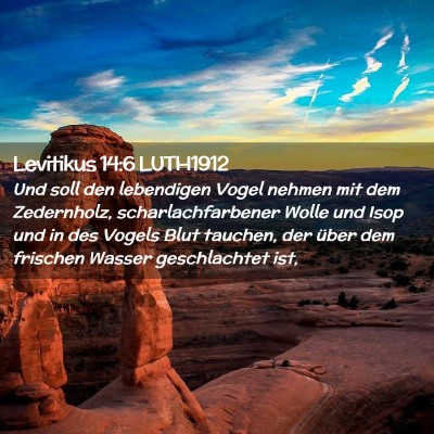 Picture 02 - Levitikus 14:6 LUTH1912 - Und soll den lebendigen Vogel nehmen mit dem - Bible Verse Picture