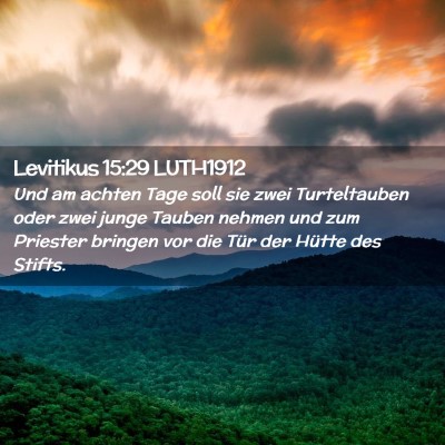 Picture 02 - Levitikus 15:29 LUTH1912 - Und am achten Tage soll sie zwei Turteltauben - Bible Verse Picture