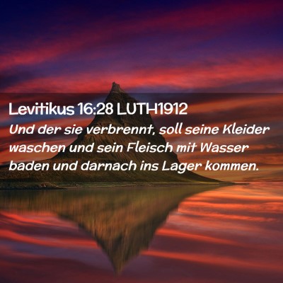 Picture 02 - Levitikus 16:28 LUTH1912 - Und der sie verbrennt, soll seine Kleider waschen - Bible Verse Picture