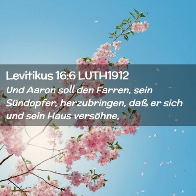 Picture 02 - Levitikus 16:6 LUTH1912 - Und Aaron soll den Farren, sein Sündopfer, - Bible Verse Picture
