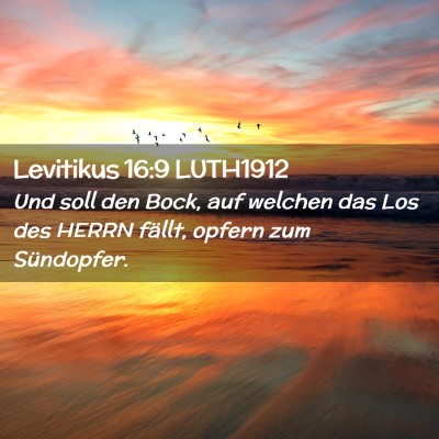 Picture 02 - Levitikus 16:9 LUTH1912 - Und soll den Bock, auf welchen das Los des HERRN - Bible Verse Picture