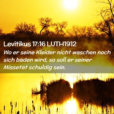 Picture 02 - Levitikus 17:16 LUTH1912 - Wo er seine Kleider nicht waschen noch sich baden - Bible Verse Picture