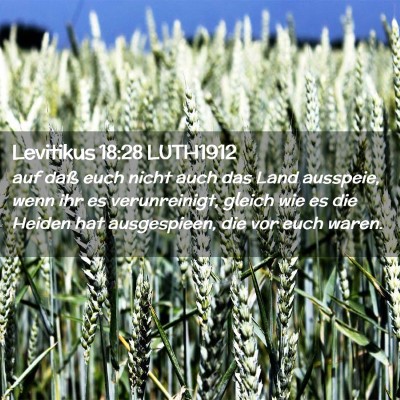 Picture 02 - Levitikus 18:28 LUTH1912 - auf daß euch nicht auch das Land ausspeie, wenn - Bible Verse Picture