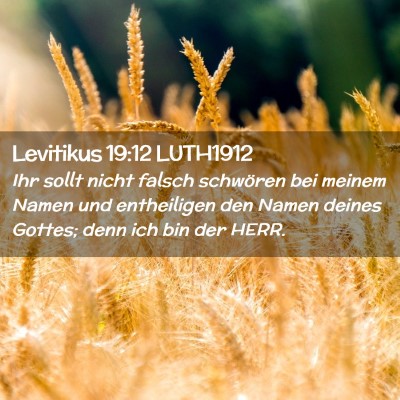 Picture 02 - Levitikus 19:12 LUTH1912 - Ihr sollt nicht falsch schwören bei meinem Namen - Bible Verse Picture