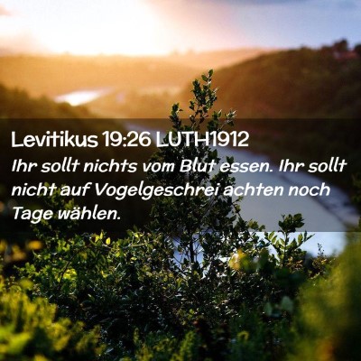 Picture 02 - Levitikus 19:26 LUTH1912 - Ihr sollt nichts vom Blut essen. Ihr sollt nicht - Bible Verse Picture