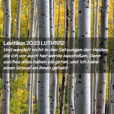 Picture 02 - Levitikus 20:23 LUTH1912 - Und wandelt nicht in den Satzungen der Heiden, - Bible Verse Picture
