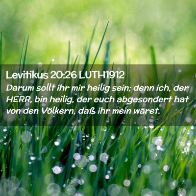 Picture 02 - Levitikus 20:26 LUTH1912 - Darum sollt ihr mir heilig sein; denn ich, der - Bible Verse Picture