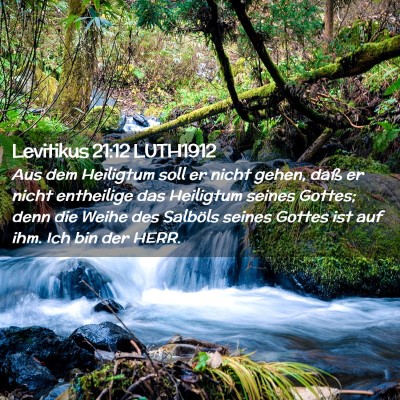 Picture 02 - Levitikus 21:12 LUTH1912 - Aus dem Heiligtum soll er nicht gehen, daß er - Bible Verse Picture