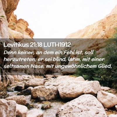 Picture 02 - Levitikus 21:18 LUTH1912 - Denn keiner, an dem ein Fehl ist, soll - Bible Verse Picture