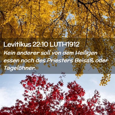 Picture 02 - Levitikus 22:10 LUTH1912 - Kein anderer soll von dem Heiligen essen noch des - Bible Verse Picture
