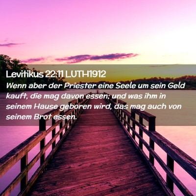 Picture 02 - Levitikus 22:11 LUTH1912 - Wenn aber der Priester eine Seele um sein Geld - Bible Verse Picture