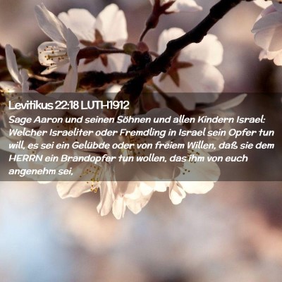 Picture 02 - Levitikus 22:18 LUTH1912 - Sage Aaron und seinen Söhnen und allen Kindern - Bible Verse Picture