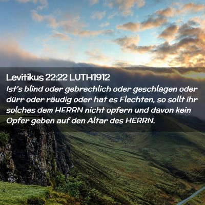 Picture 02 - Levitikus 22:22 LUTH1912 - Ist's blind oder gebrechlich oder geschlagen oder - Bible Verse Picture