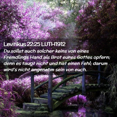 Picture 02 - Levitikus 22:25 LUTH1912 - Du sollst auch solcher keins von eines Fremdlings - Bible Verse Picture