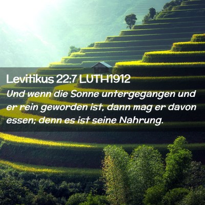 Picture 02 - Levitikus 22:7 LUTH1912 - Und wenn die Sonne untergegangen und er rein - Bible Verse Picture