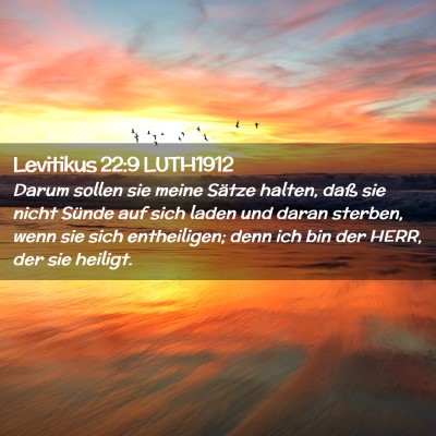 Picture 02 - Levitikus 22:9 LUTH1912 - Darum sollen sie meine Sätze halten, daß sie - Bible Verse Picture