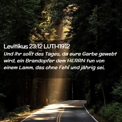 Picture 02 - Levitikus 23:12 LUTH1912 - Und ihr sollt des Tages, da eure Garbe gewebt - Bible Verse Picture