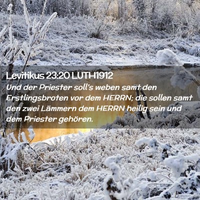 Picture 02 - Levitikus 23:20 LUTH1912 - Und der Priester soll's weben samt den - Bible Verse Picture