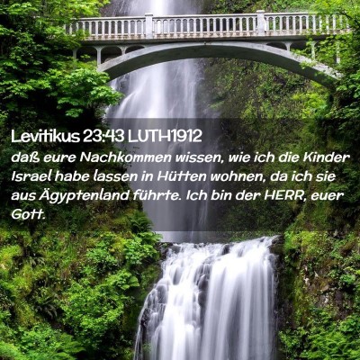 Picture 02 - Levitikus 23:43 LUTH1912 - daß eure Nachkommen wissen, wie ich die Kinder - Bible Verse Picture