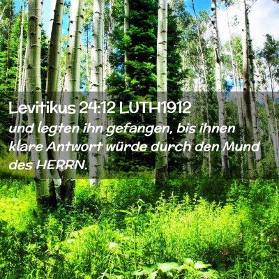 Picture 02 - Levitikus 24:12 LUTH1912 - und legten ihn gefangen, bis ihnen klare Antwort - Bible Verse Picture