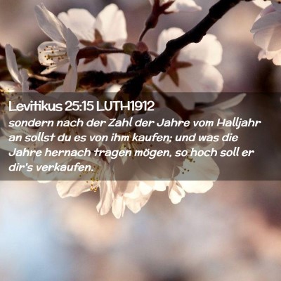 Picture 02 - Levitikus 25:15 LUTH1912 - sondern nach der Zahl der Jahre vom Halljahr an - Bible Verse Picture