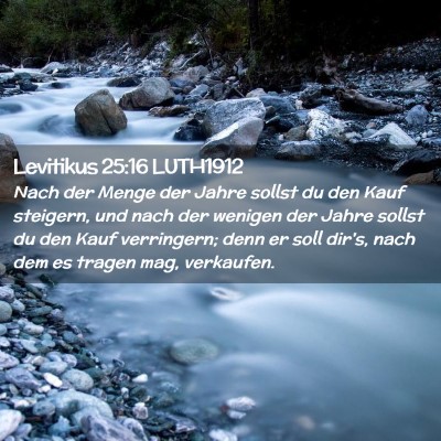 Picture 02 - Levitikus 25:16 LUTH1912 - Nach der Menge der Jahre sollst du den Kauf - Bible Verse Picture