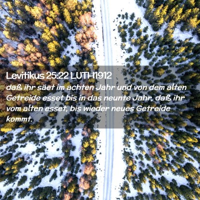Picture 02 - Levitikus 25:22 LUTH1912 - daß ihr säet im achten Jahr und von dem alten - Bible Verse Picture