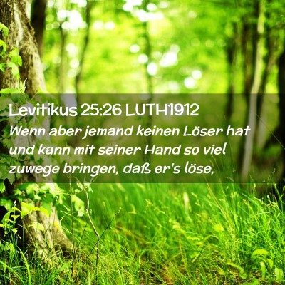 Picture 02 - Levitikus 25:26 LUTH1912 - Wenn aber jemand keinen Löser hat und kann mit - Bible Verse Picture