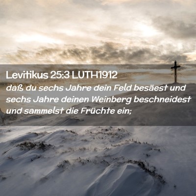 Picture 02 - Levitikus 25:3 LUTH1912 - daß du sechs Jahre dein Feld besäest und sechs - Bible Verse Picture