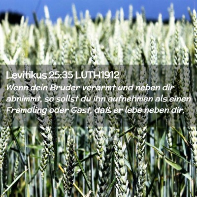Picture 02 - Levitikus 25:35 LUTH1912 - Wenn dein Bruder verarmt und neben dir abnimmt, - Bible Verse Picture