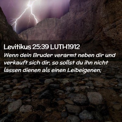 Picture 02 - Levitikus 25:39 LUTH1912 - Wenn dein Bruder verarmt neben dir und verkauft - Bible Verse Picture
