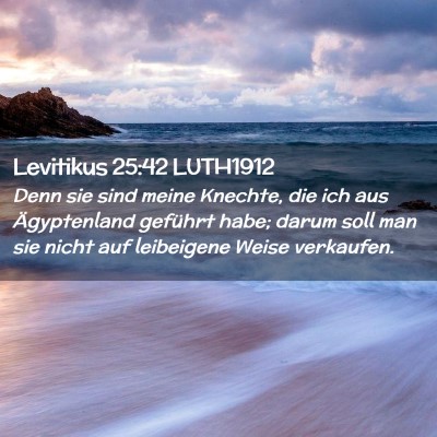 Picture 02 - Levitikus 25:42 LUTH1912 - Denn sie sind meine Knechte, die ich aus - Bible Verse Picture