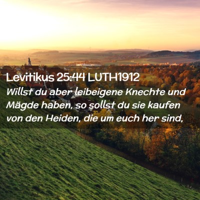 Picture 02 - Levitikus 25:44 LUTH1912 - Willst du aber leibeigene Knechte und Mägde - Bible Verse Picture