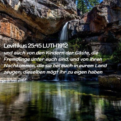 Picture 02 - Levitikus 25:45 LUTH1912 - und auch von den Kindern der Gäste, die - Bible Verse Picture