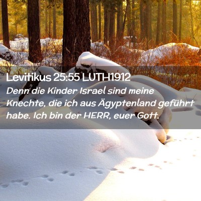 Picture 02 - Levitikus 25:55 LUTH1912 - Denn die Kinder Israel sind meine Knechte, die - Bible Verse Picture