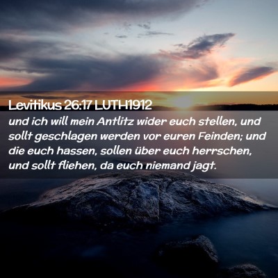 Picture 02 - Levitikus 26:17 LUTH1912 - und ich will mein Antlitz wider euch stellen, und - Bible Verse Picture