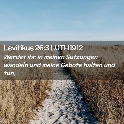 Picture 02 - Levitikus 26:3 LUTH1912 - Werdet ihr in meinen Satzungen wandeln und meine - Bible Verse Picture