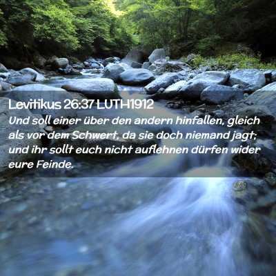 Picture 02 - Levitikus 26:37 LUTH1912 - Und soll einer über den andern hinfallen, gleich - Bible Verse Picture