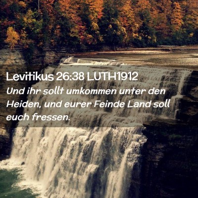 Picture 02 - Levitikus 26:38 LUTH1912 - Und ihr sollt umkommen unter den Heiden, und - Bible Verse Picture
