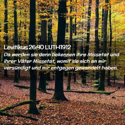 Picture 02 - Levitikus 26:40 LUTH1912 - Da werden sie denn bekennen ihre Missetat und - Bible Verse Picture