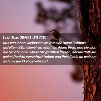 Picture 02 - Levitikus 26:43 LUTH1912 - das von ihnen verlassen ist und sich seine - Bible Verse Picture