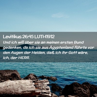 Picture 02 - Levitikus 26:45 LUTH1912 - Und ich will über sie an meinen ersten Bund - Bible Verse Picture