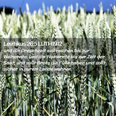 Picture 02 - Levitikus 26:5 LUTH1912 - und die Dreschzeit soll reichen bis zur - Bible Verse Picture