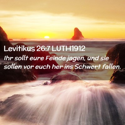 Picture 02 - Levitikus 26:7 LUTH1912 - Ihr sollt eure Feinde jagen, und sie sollen vor - Bible Verse Picture