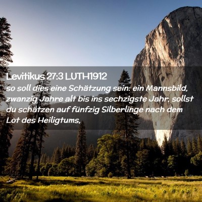 Picture 02 - Levitikus 27:3 LUTH1912 - so soll dies eine Schätzung sein: ein Mannsbild, - Bible Verse Picture