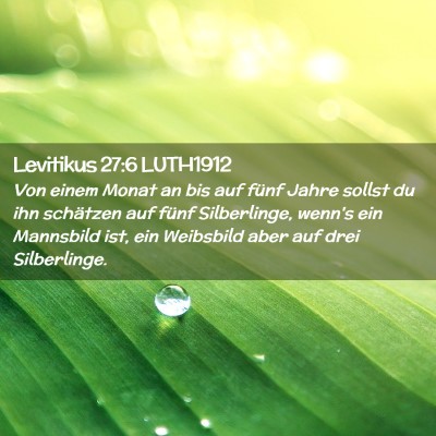 Picture 02 - Levitikus 27:6 LUTH1912 - Von einem Monat an bis auf fünf Jahre sollst du - Bible Verse Picture