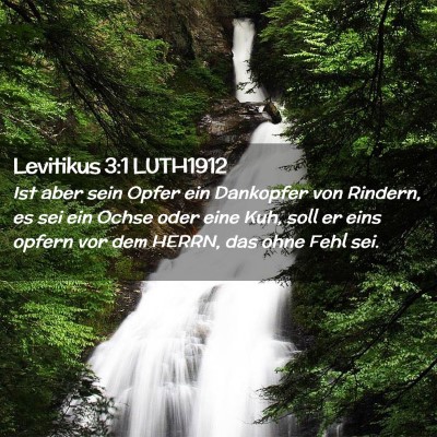 Picture 02 - Levitikus 3:1 LUTH1912 - Ist aber sein Opfer ein Dankopfer von Rindern, es - Bible Verse Picture